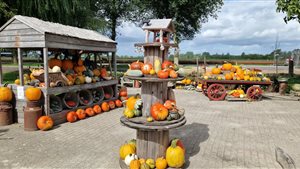 Pompoenboerderij Onderdijk