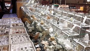 Mineralen- en fossielenbeurs