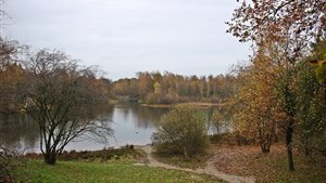 Bargermarketocht