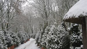 Winterbos Fair