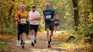 Vallende Bladerenloop