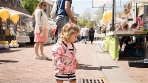 Zeldzaam Mooi event Laarstraat in Zutphen