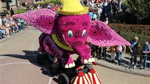Bloemencorso Winkel