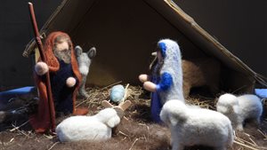 Creatieve Kribkes