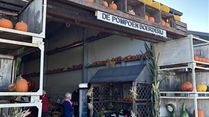 Pompoen snijdagen Pompoenboerderij Bunnik