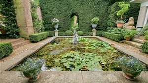 Open Tuinendag Utrecht