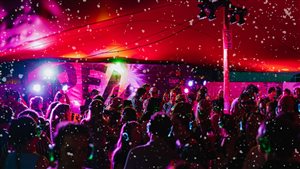 TAPT Winterborrel Festival