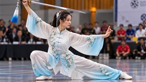 Tai Chi Kampioenschap Apeldoorn 2027