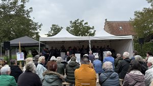 Puur Wijks festival