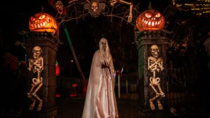 Halloween in Drouwenerzand Attractiepark