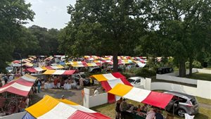 Landgoed Fair bij Landgoed Zonnestraal
