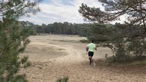 Hoge Veluwe Loop