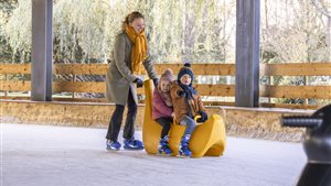 Schaatsbaan bij Plaswijckpark