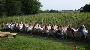 Wijngaard diner