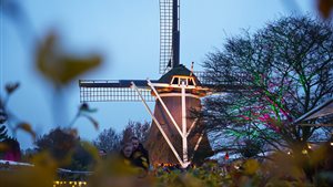 Najaarsfair Rondom de Molen