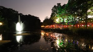 Latin Lake Winter Edition - 5 Dec - The Lakehouse