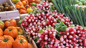 Streekproductenmarkt Nienoord