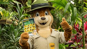 Magische Jungleweken in Pantropica