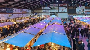 Heerlijk Landleven Novemberlicht Hippisch C Exloo