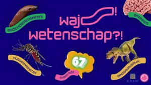 Wajo Wetenschap