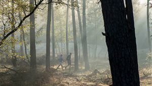 Hoge Veluwe Wandeldag