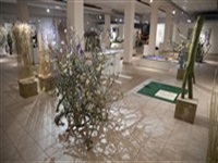 Nature Art Fair in Aalsmeer