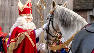 De 'Stad van Sint' in Museumpark Archeon