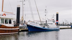 Exclusief dagexcursie Lauwersmeergebied