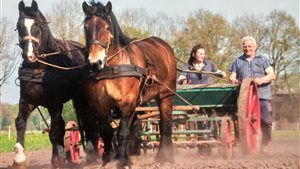 Herfstvakantie markt & Dag van het Ploegpaard 2026