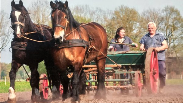 Orveltermarkt & Dag van het Ploegpaard