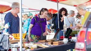 Openlucht Vlooienmarkt Elst gld