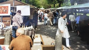 Antiekmarkt op de Dreef