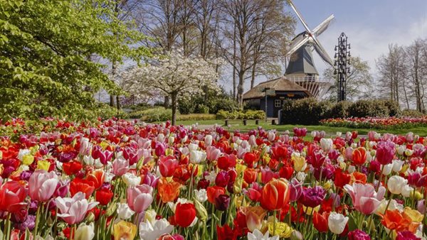 Proef de lente op Keukenhof