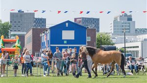 Diergeneeskunde Outdoor Event