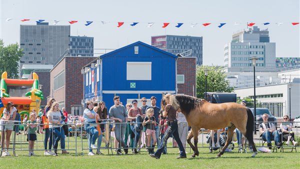 Diergeneeskunde Outdoor Event