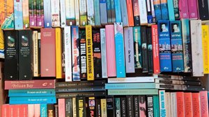 Boekenmarkt Oostwold