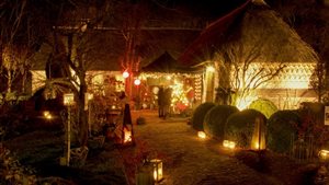Gees in Wintersfeer