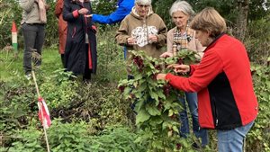 Open Voedselbossendag