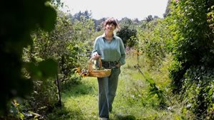 Workshop 'Natuurlijke EHBO-kit'