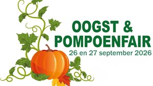 Oogst en Pompoenfair Camping de Kolibrie