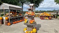 Pompoenboerderij Onderdijk