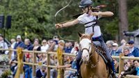 Weekend van het Paard