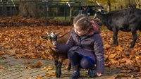 Herfstvakantie in Familiepark Nienoord