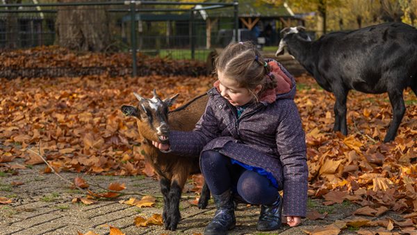 Herfstvakantie in Familiepark Nienoord