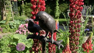 Open dag Tuin in de Mehre