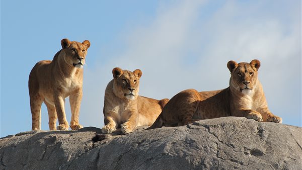 Wildlands Adventure Zoo Emmen