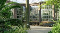 Hortus Botanicus Amsterdam