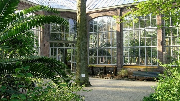 Hortus Botanicus Amsterdam in Amsterdam, Noord-Holland