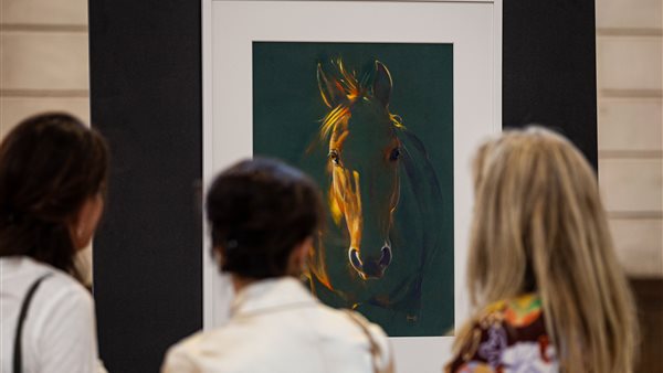 Dutch Equine Art Fair