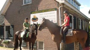 Open Dag Manege Hallinckveld